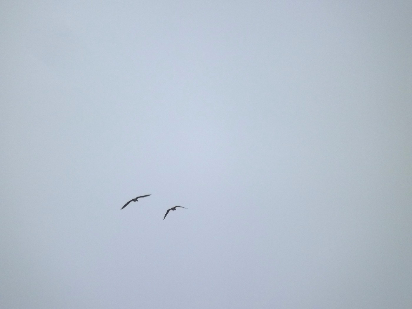 DSCF4110.JPG