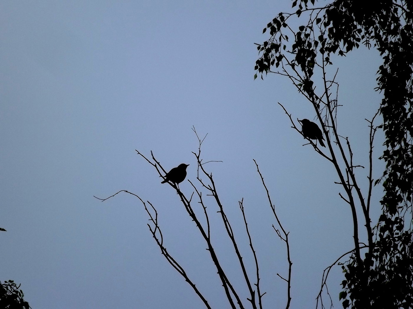 DSCF4116.JPG