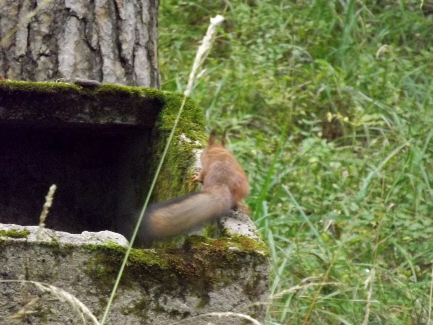 DSCF4190.JPG