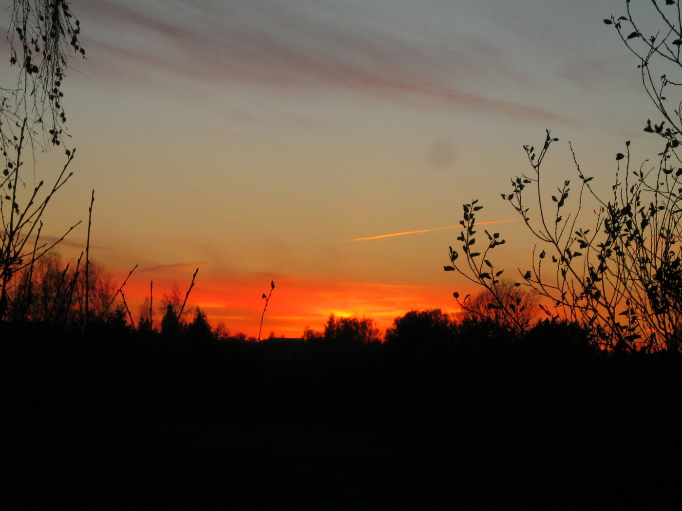 IMG_3427.JPG