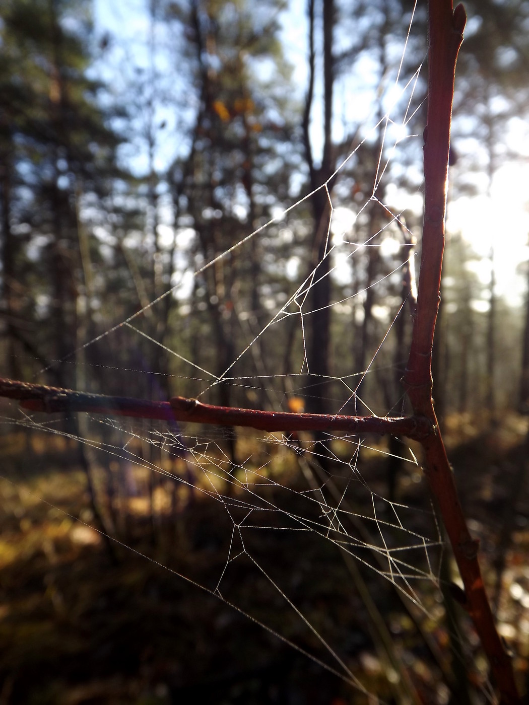 DSCF4679.JPG