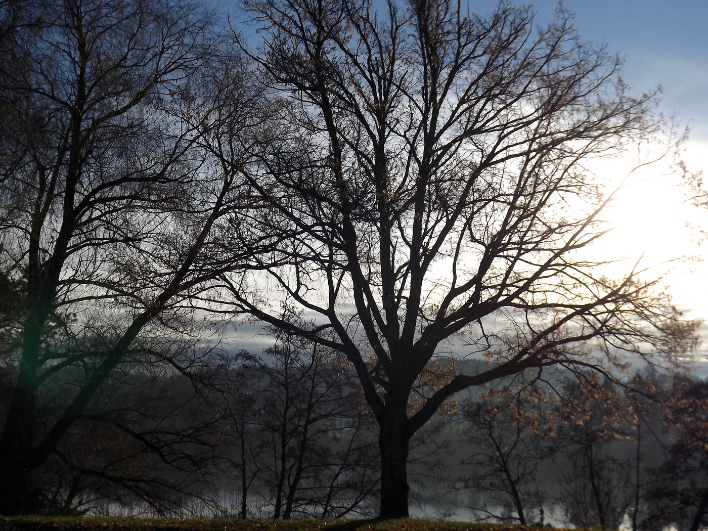 DSCF4695.JPG
