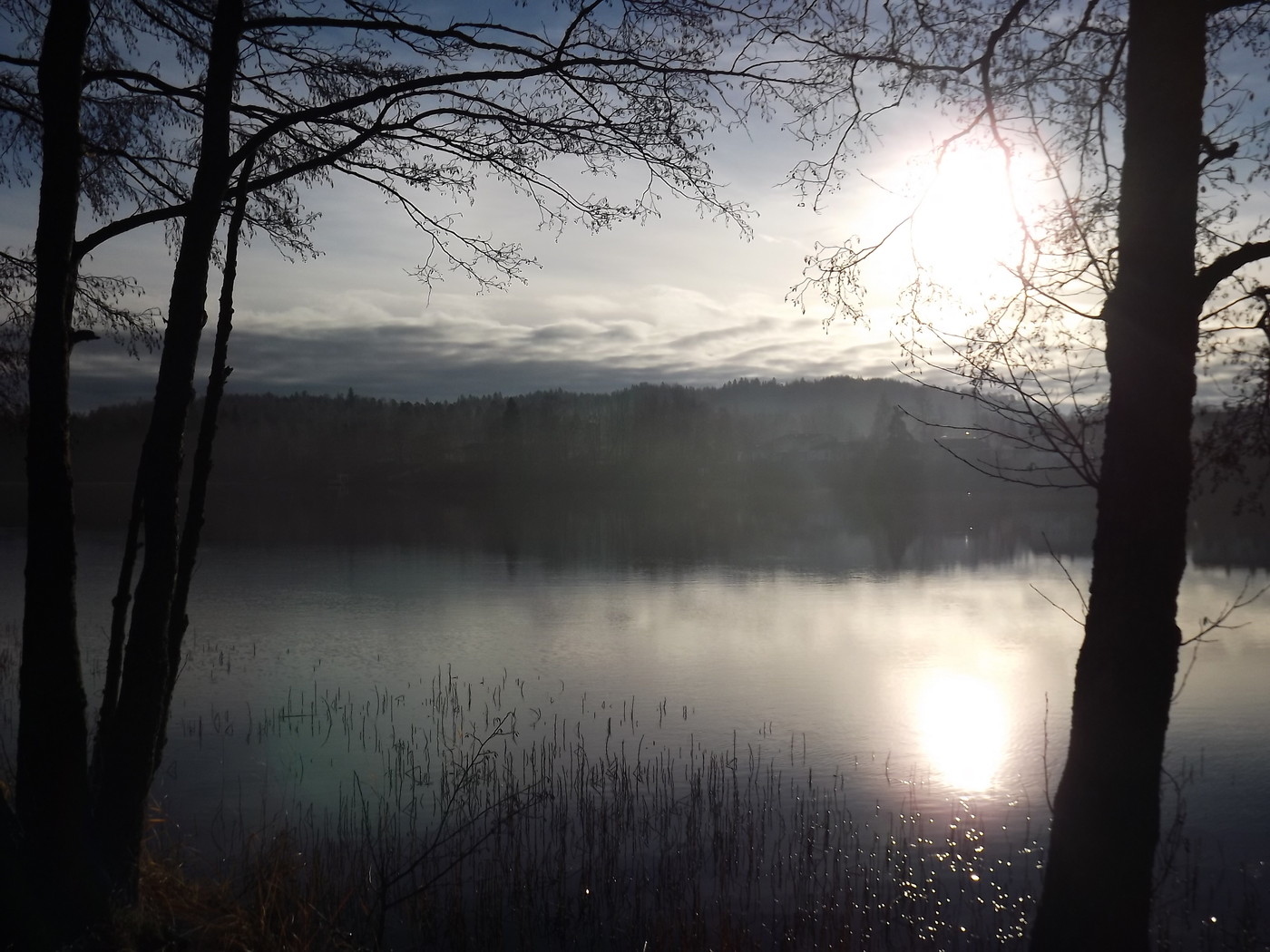 DSCF4707.JPG