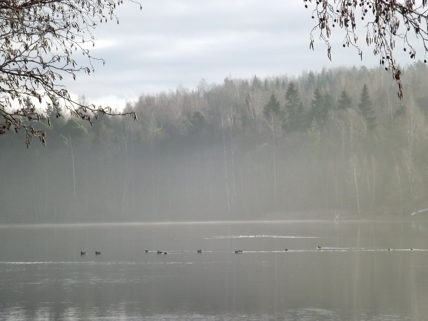 DSCF4716.JPG