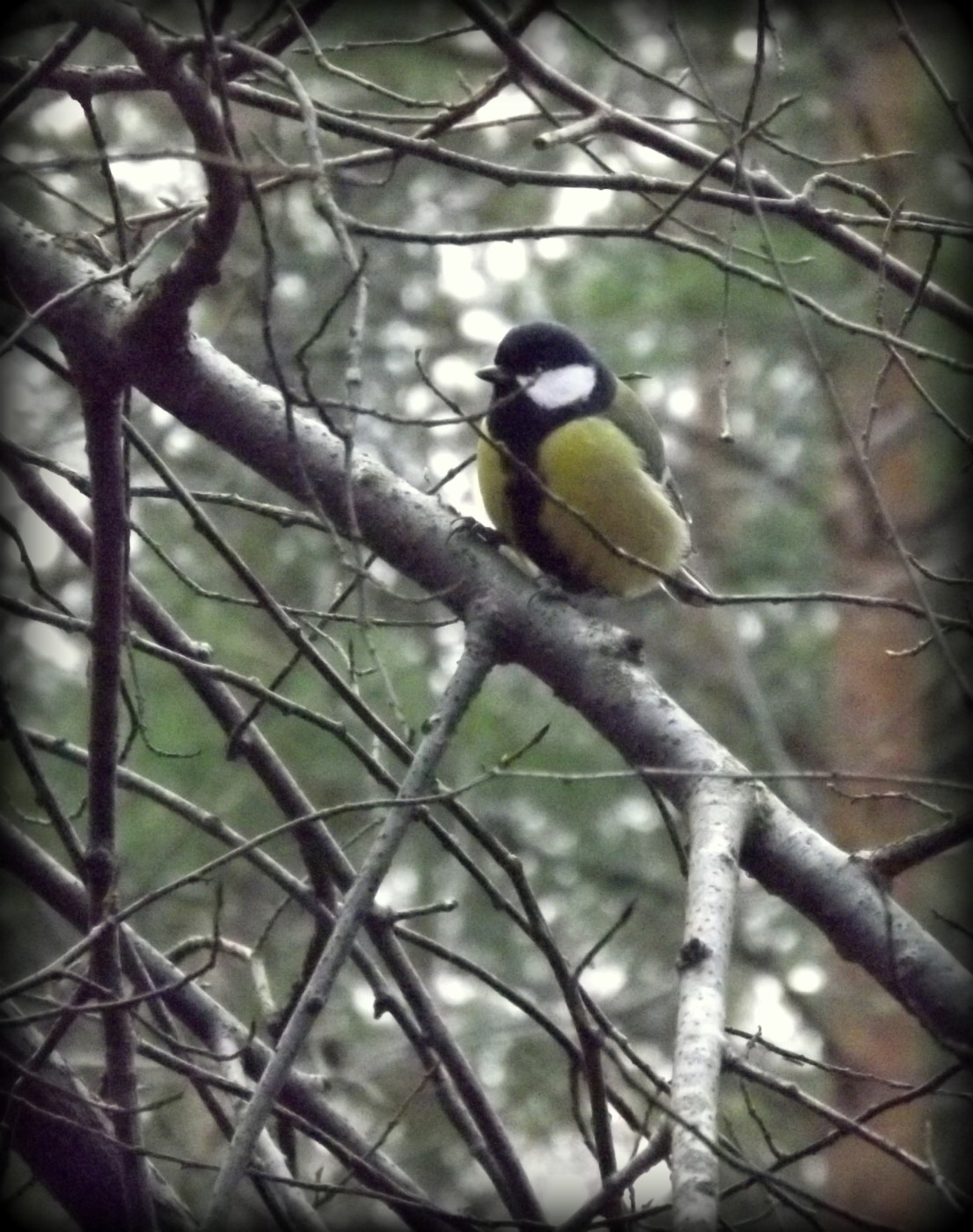 DSCF4842.JPG