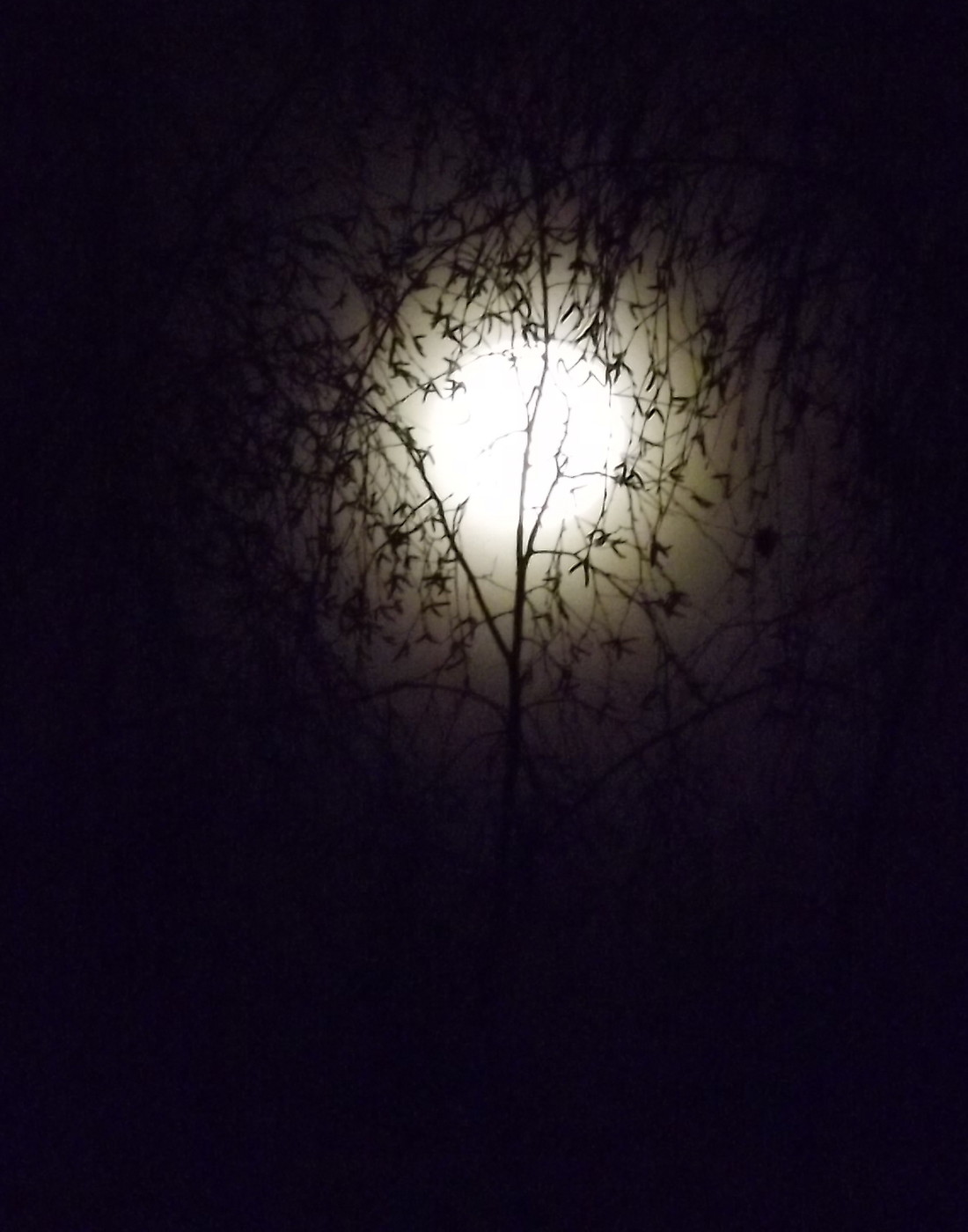 DSCF4780.JPG