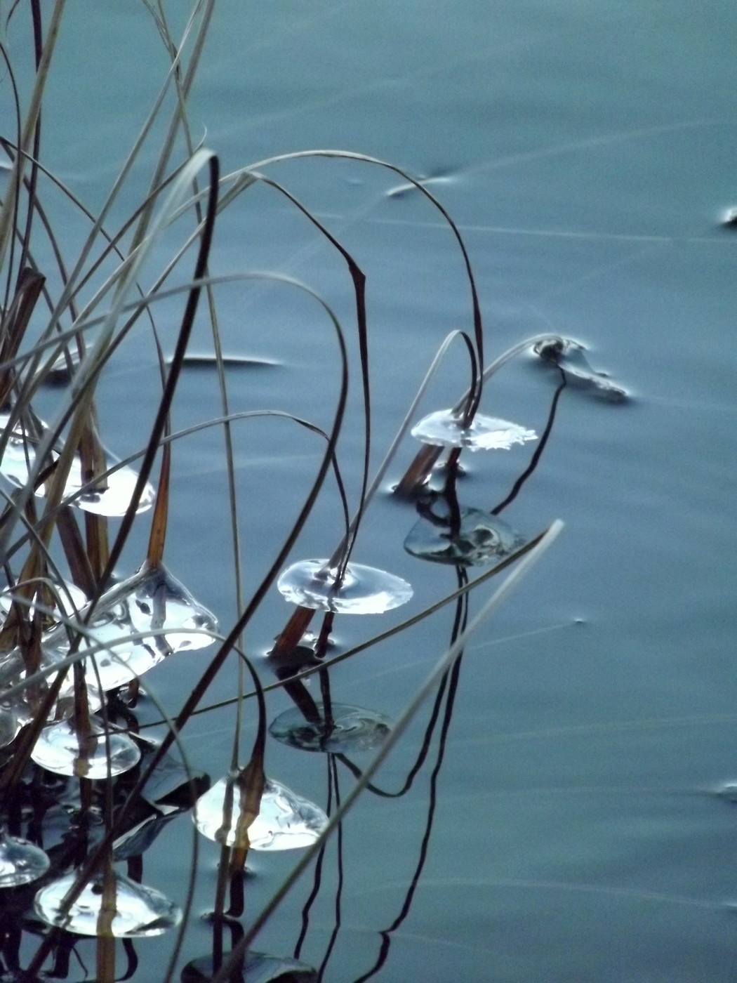 DSCF4856.JPG
