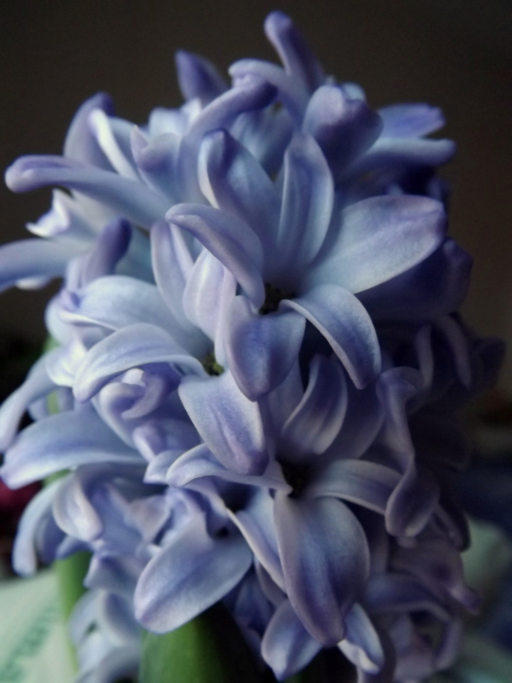 DSCF4893.JPG