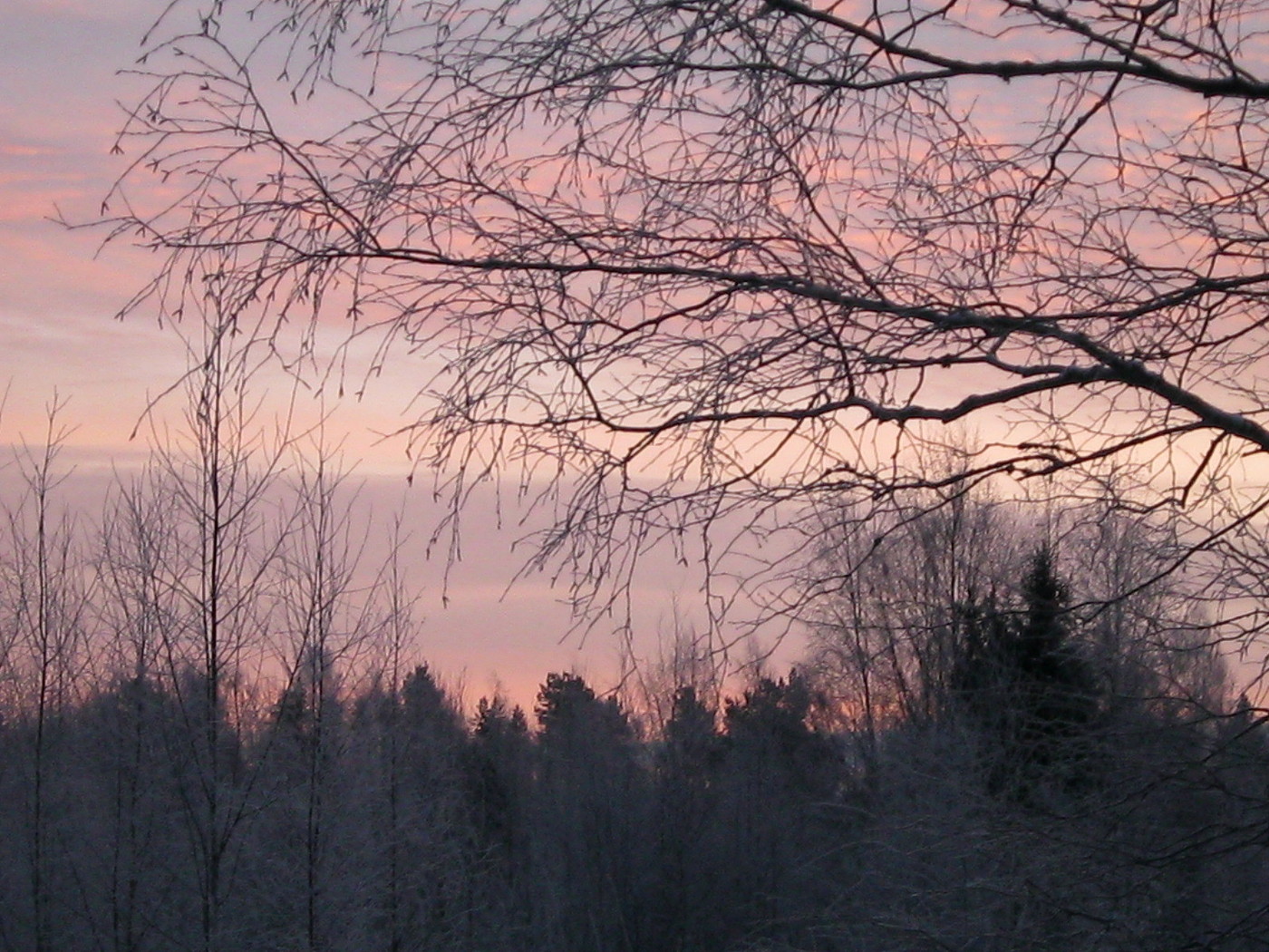 IMG_3922.JPG