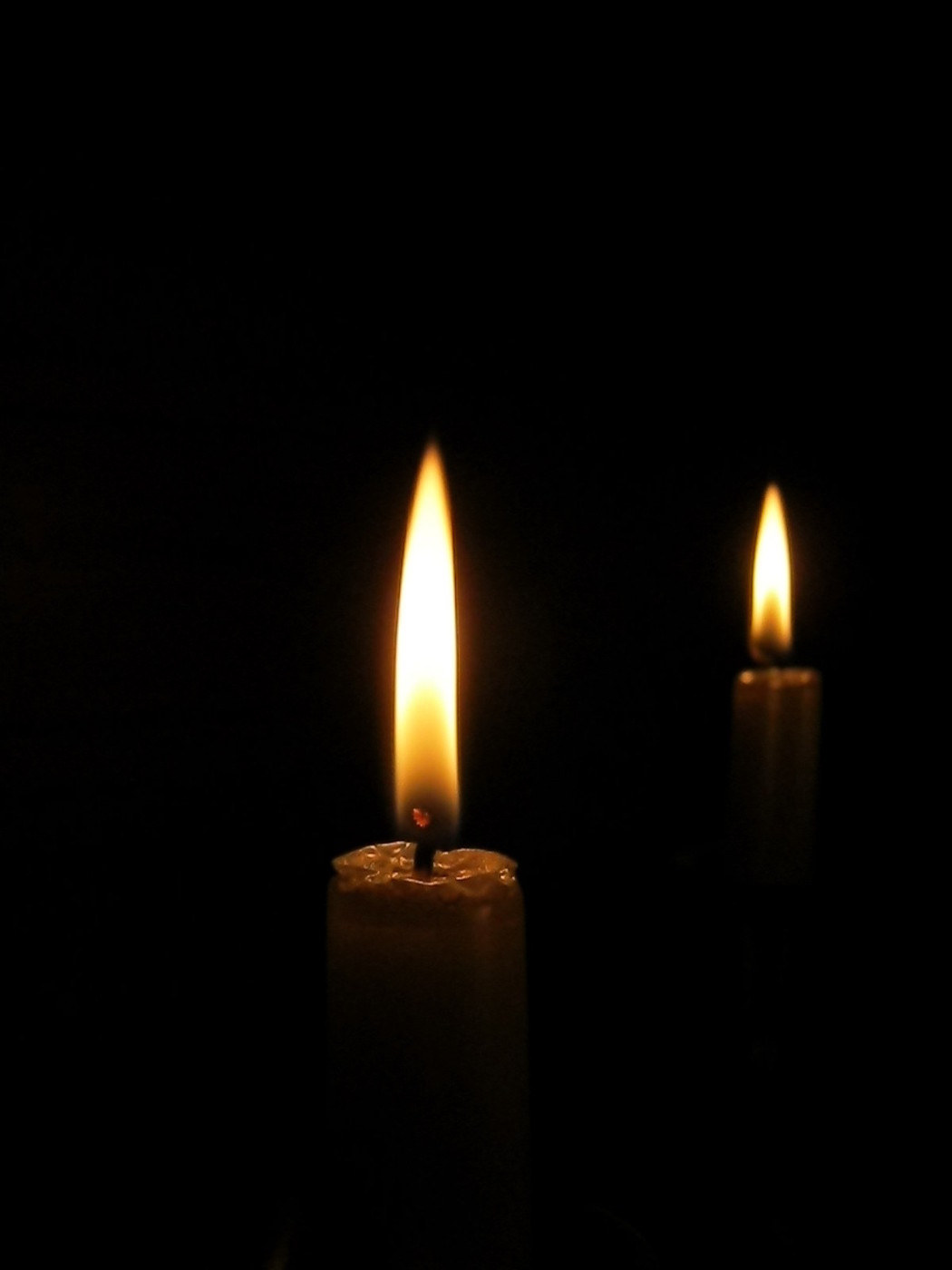 IMG_3955.JPG