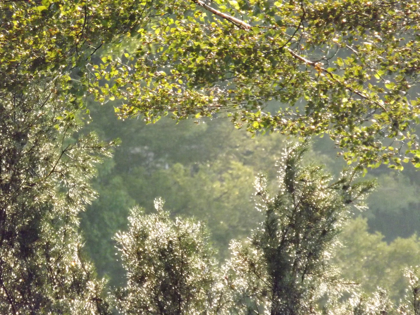 DSCF5877.JPG