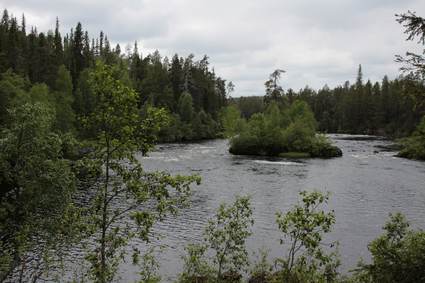 IMG_5626.JPG