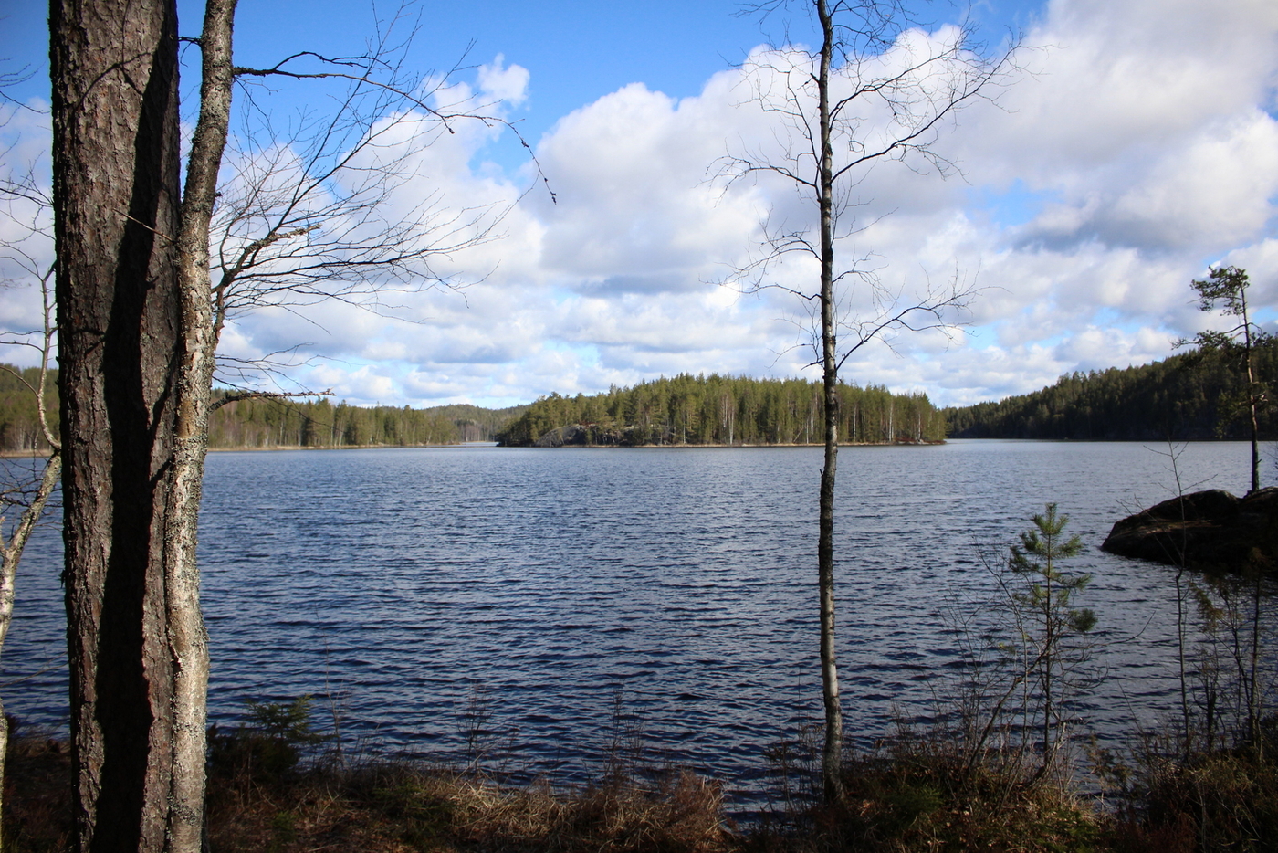 Repovedellä