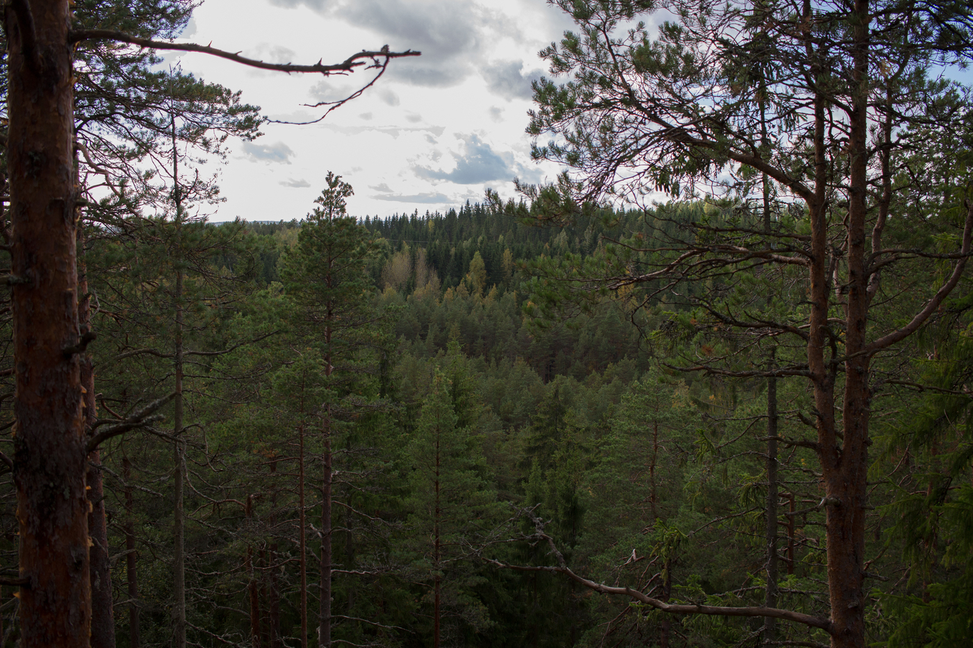 IMG_3616.jpg