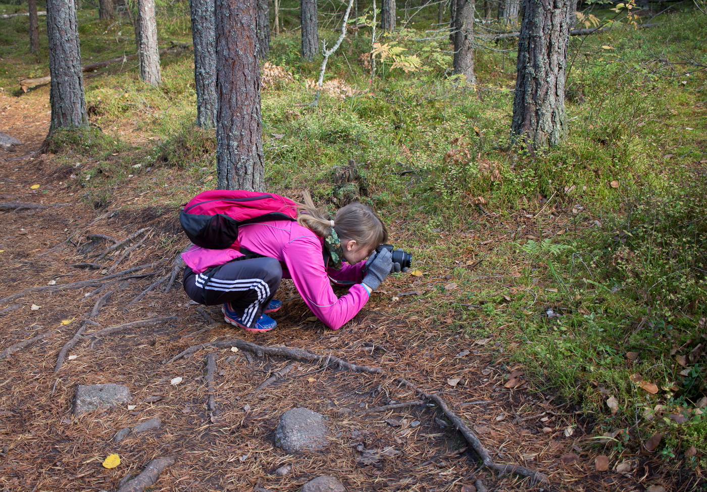 _MG_2219.jpg