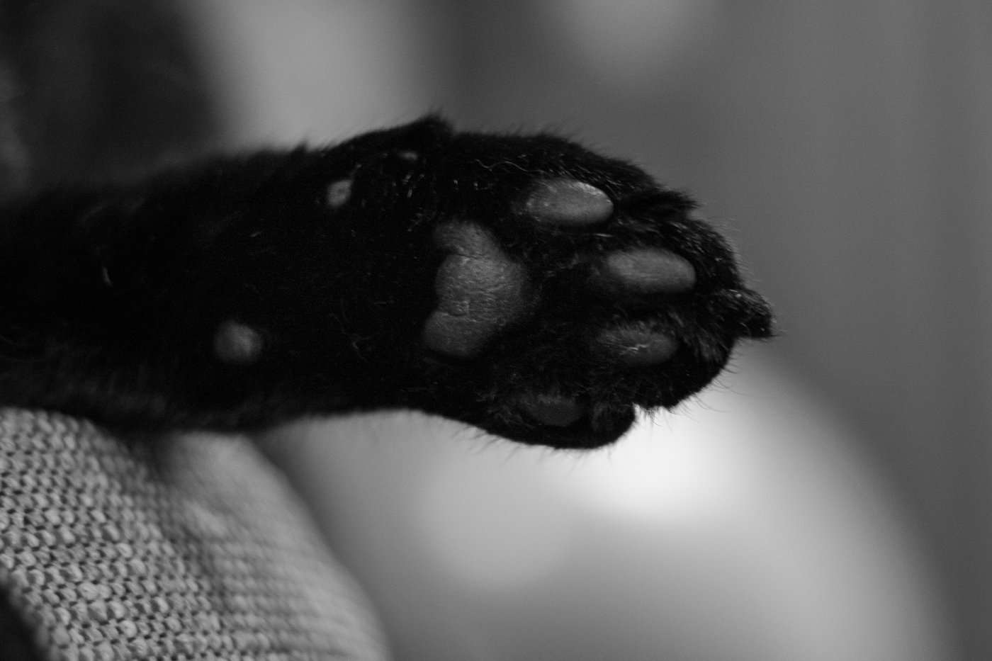 IMG_7304.jpg