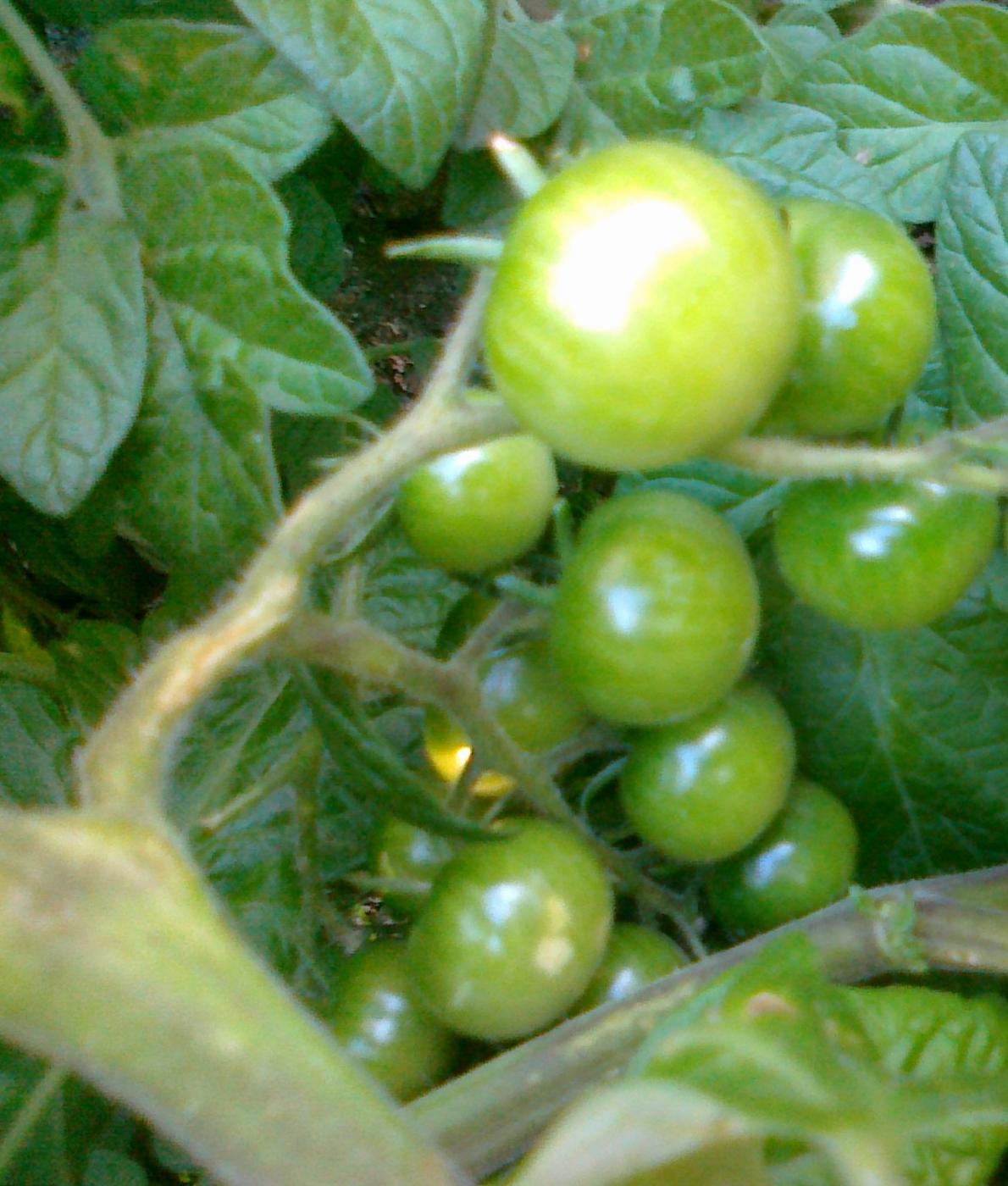 16082012660.jpg 16082012660.jpg