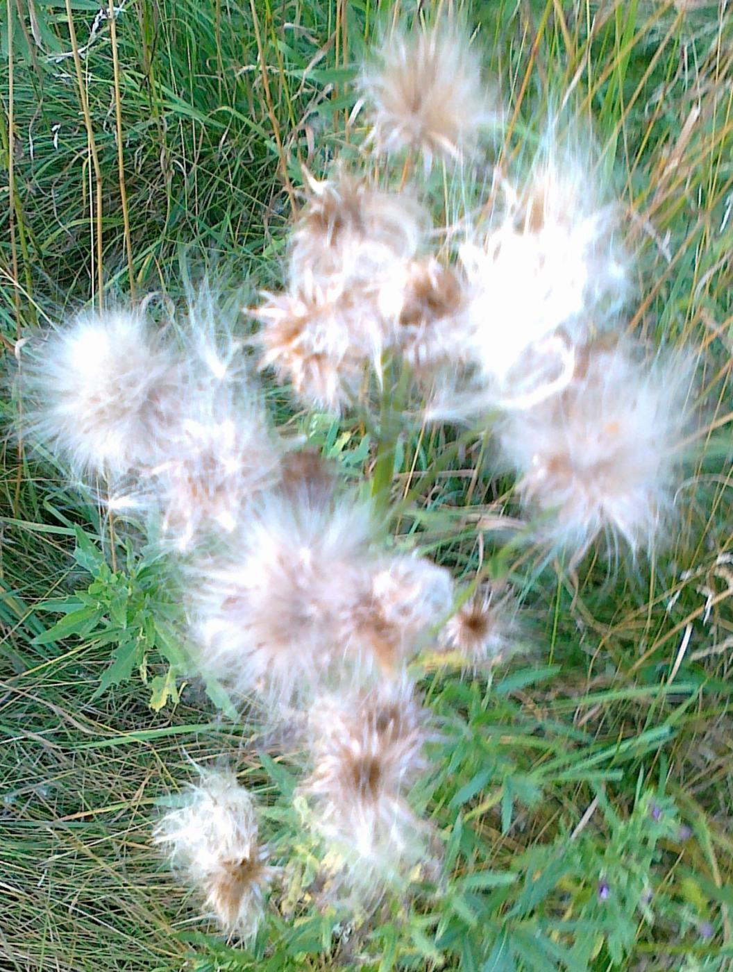 16082012688.jpg 16082012688.jpg