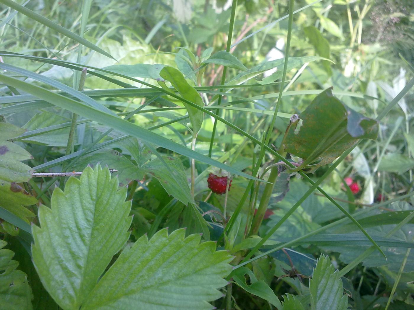 23072011007.jpg