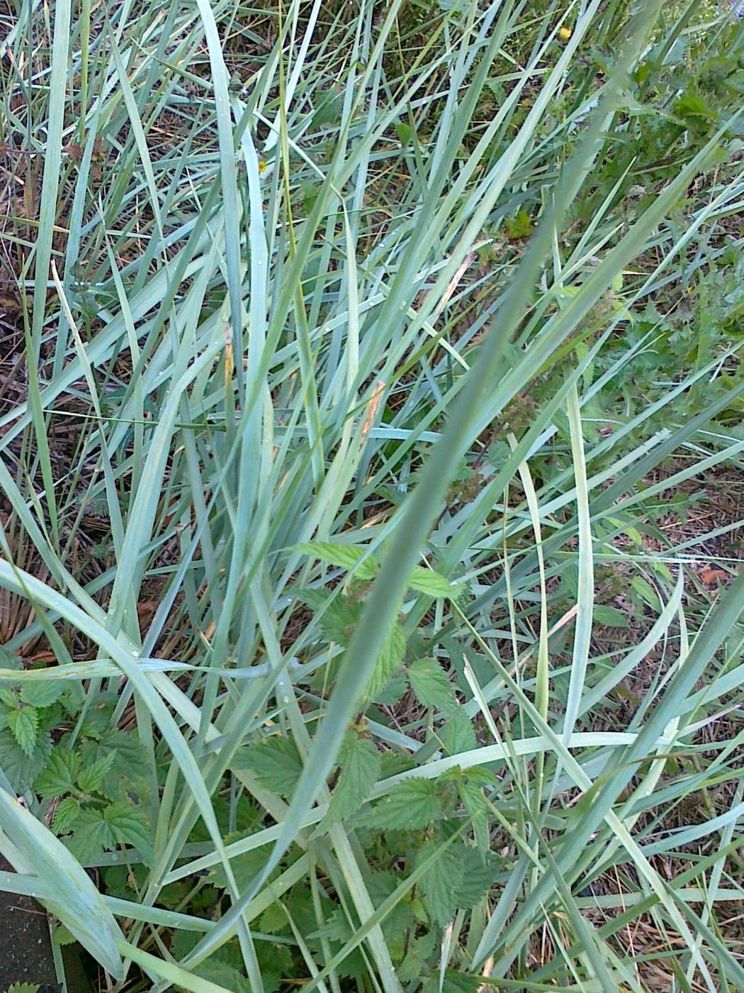08092012773.jpg 08092012773.jpg