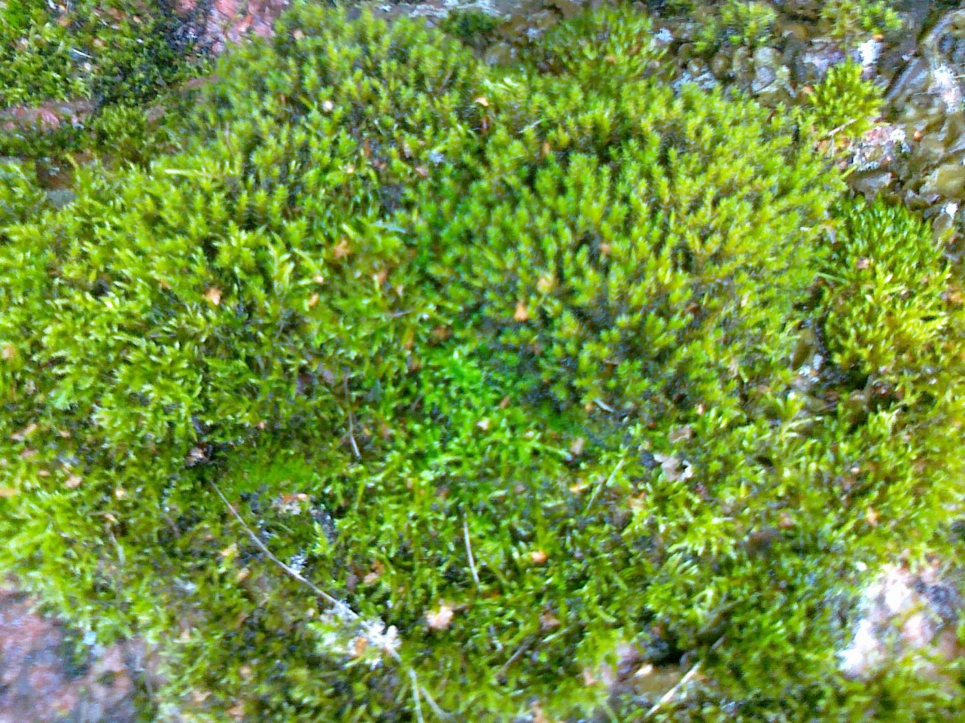 10092012800.jpg 10092012800.jpg