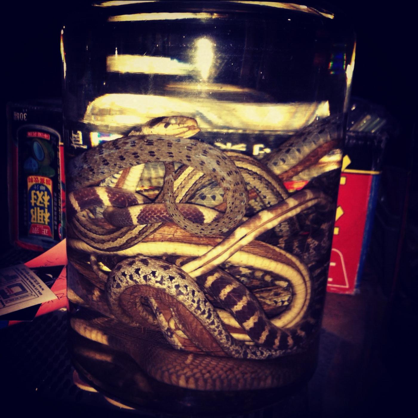 Snake Pit