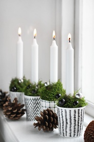 advent2.jpg