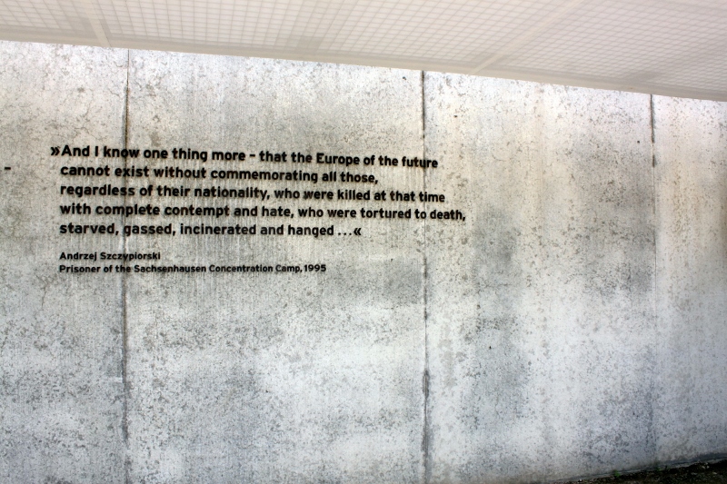 img_1239_800x533.jpg