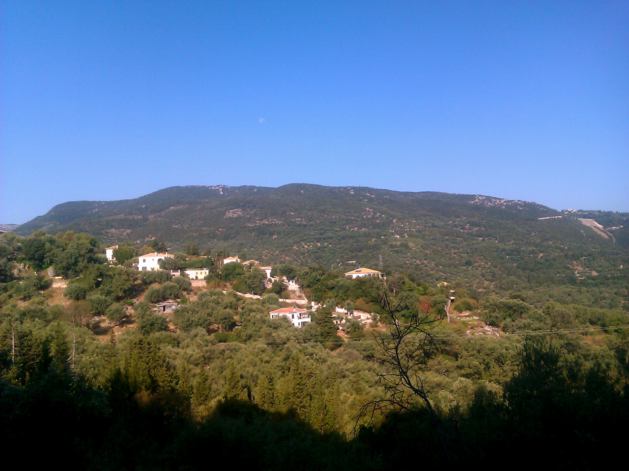 IMAG3088.jpg