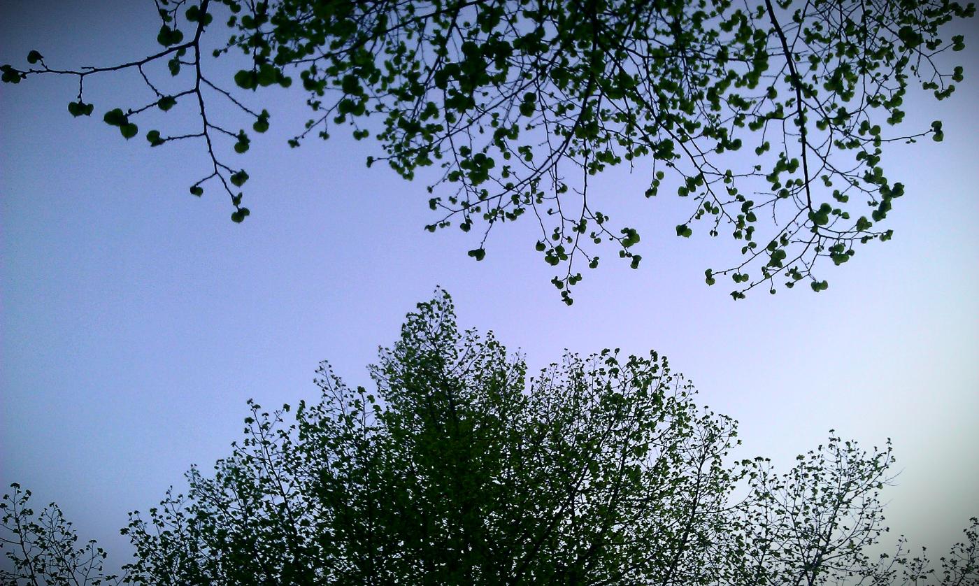 imag0413-1.jpg
