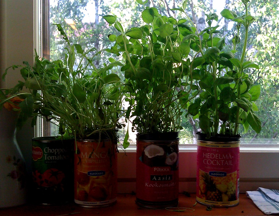 imag0497.jpg