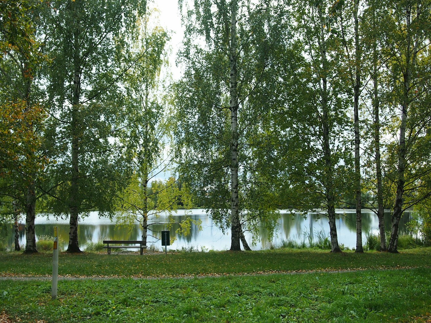 P1010065.JPG