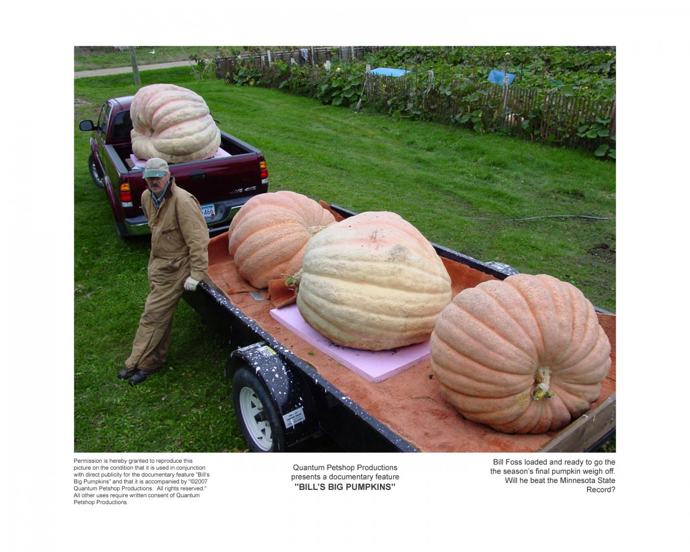 jattikurpitsa_bill-foss-pumpkins-loaded.jpg