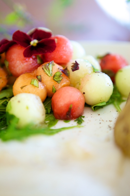 melonisalaatti_kasvihormoni_036_0.jpg