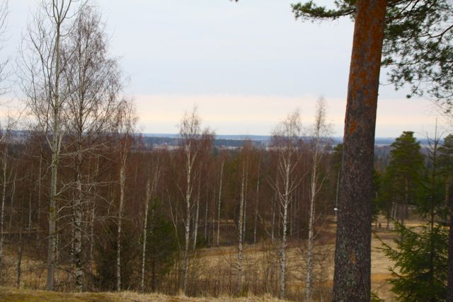 IMG_9107.jpg