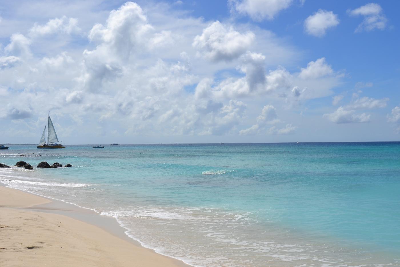 dsc_0178.jpg dsc_0178.jpg