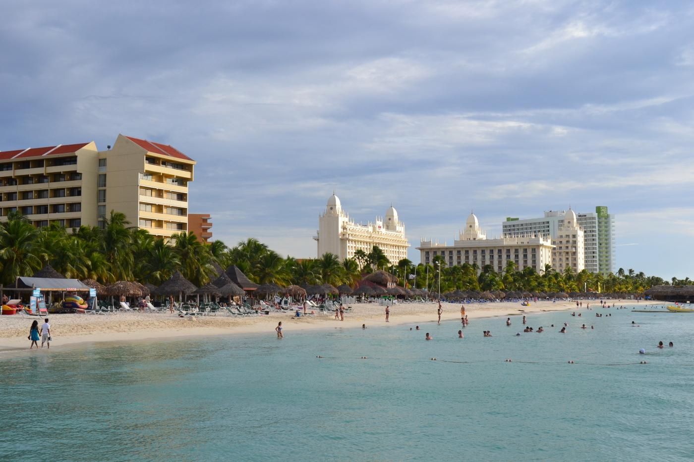 dsc_0212.jpg dsc_0212.jpg