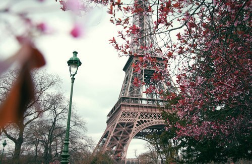 paris22.jpg