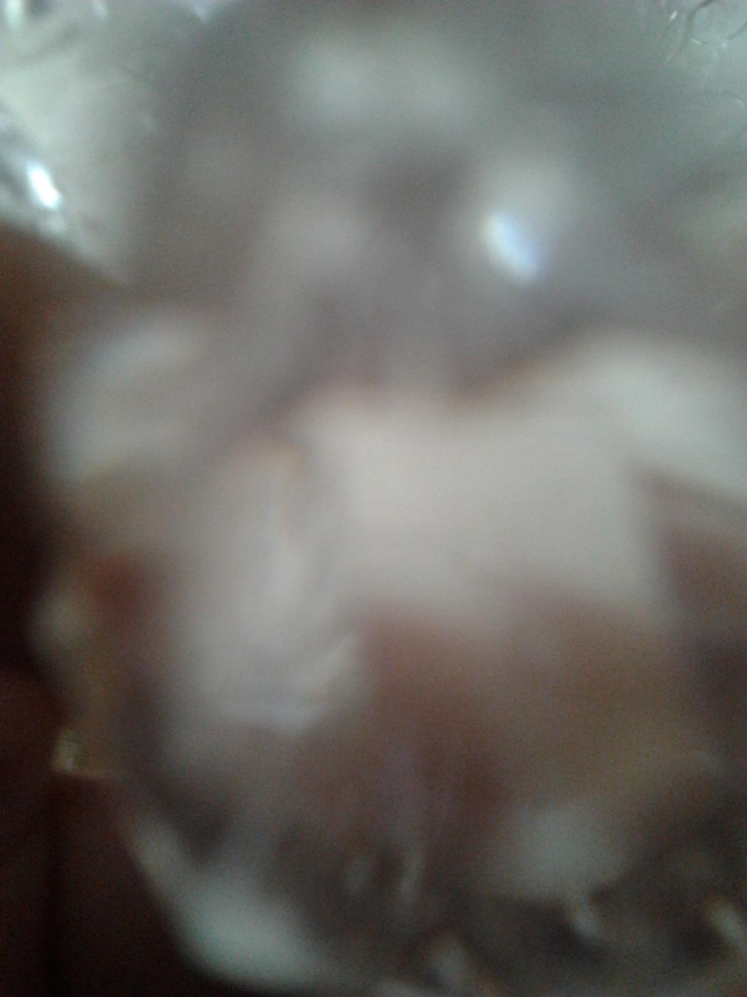 2013-04-14_16.50.44.jpg