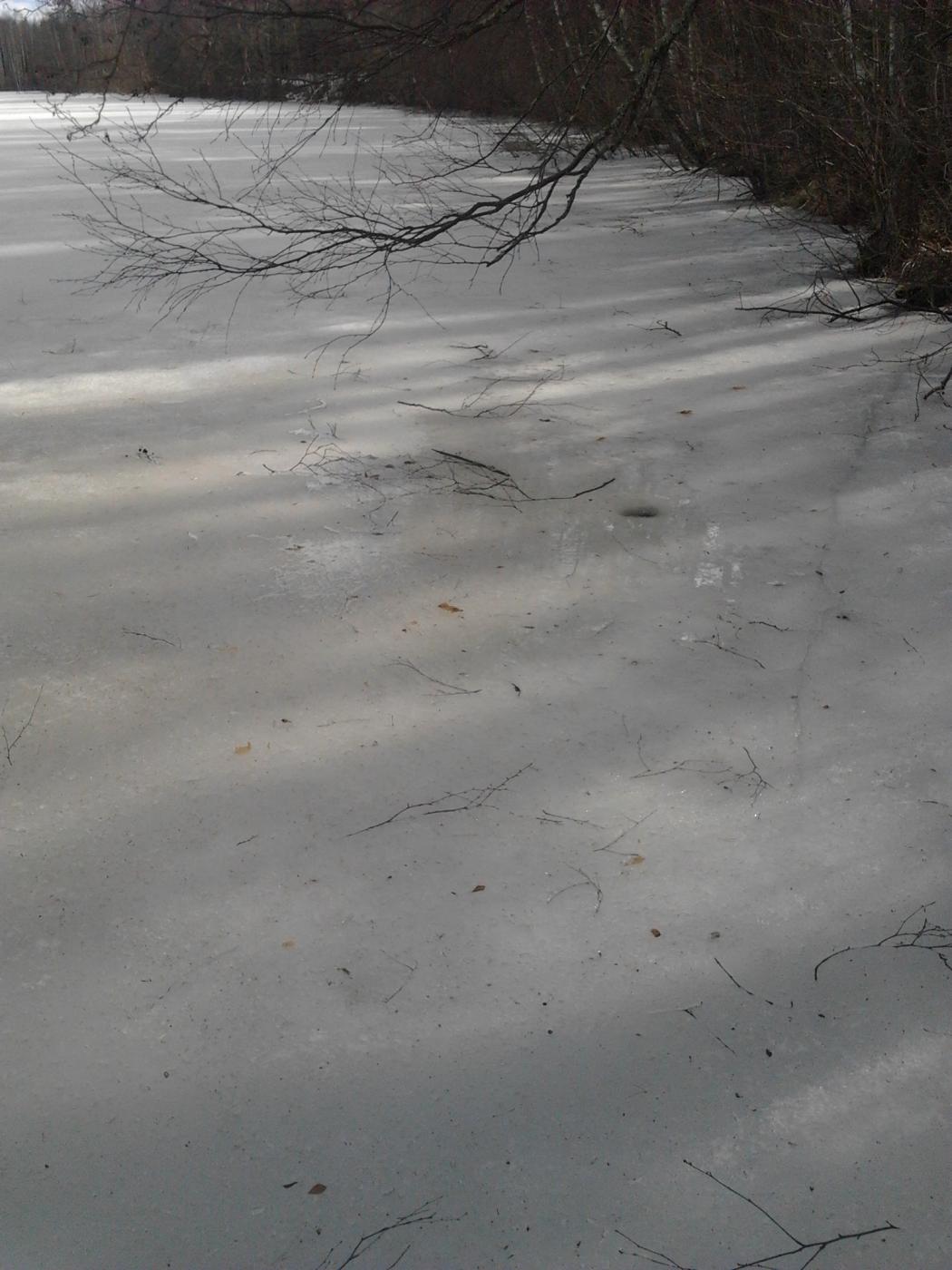 2013-04-20_15.23.51.jpg