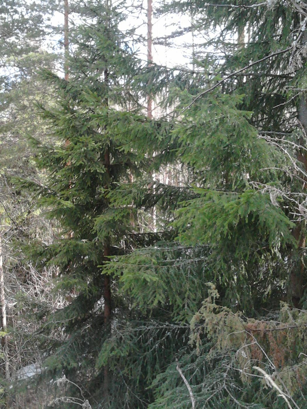 2013-04-20_15.28.56.jpg