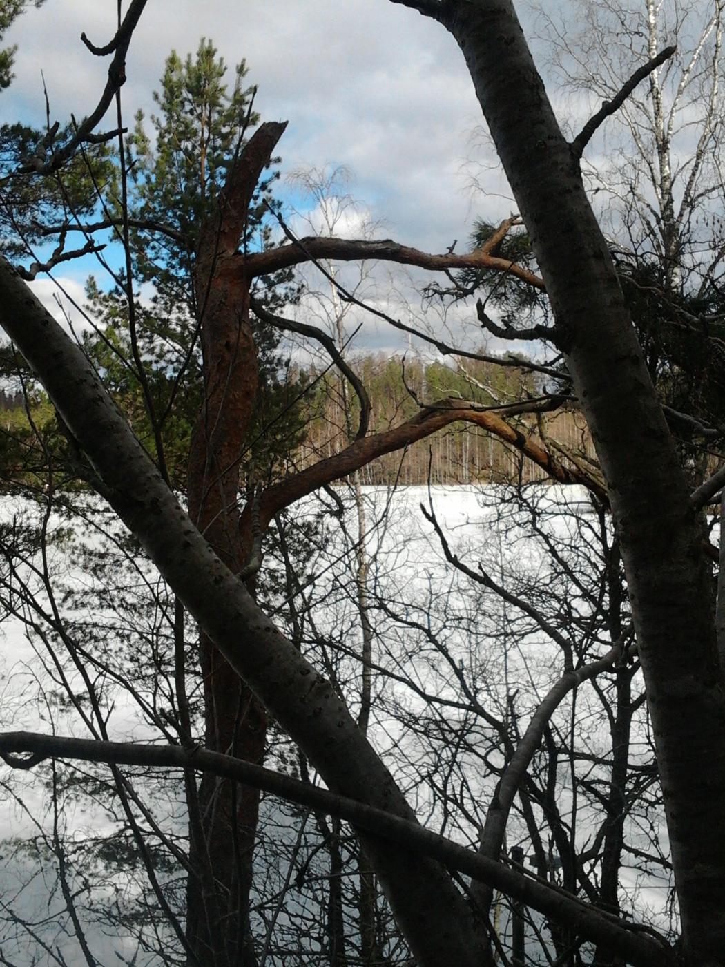 2013-04-20_15.29.11.jpg