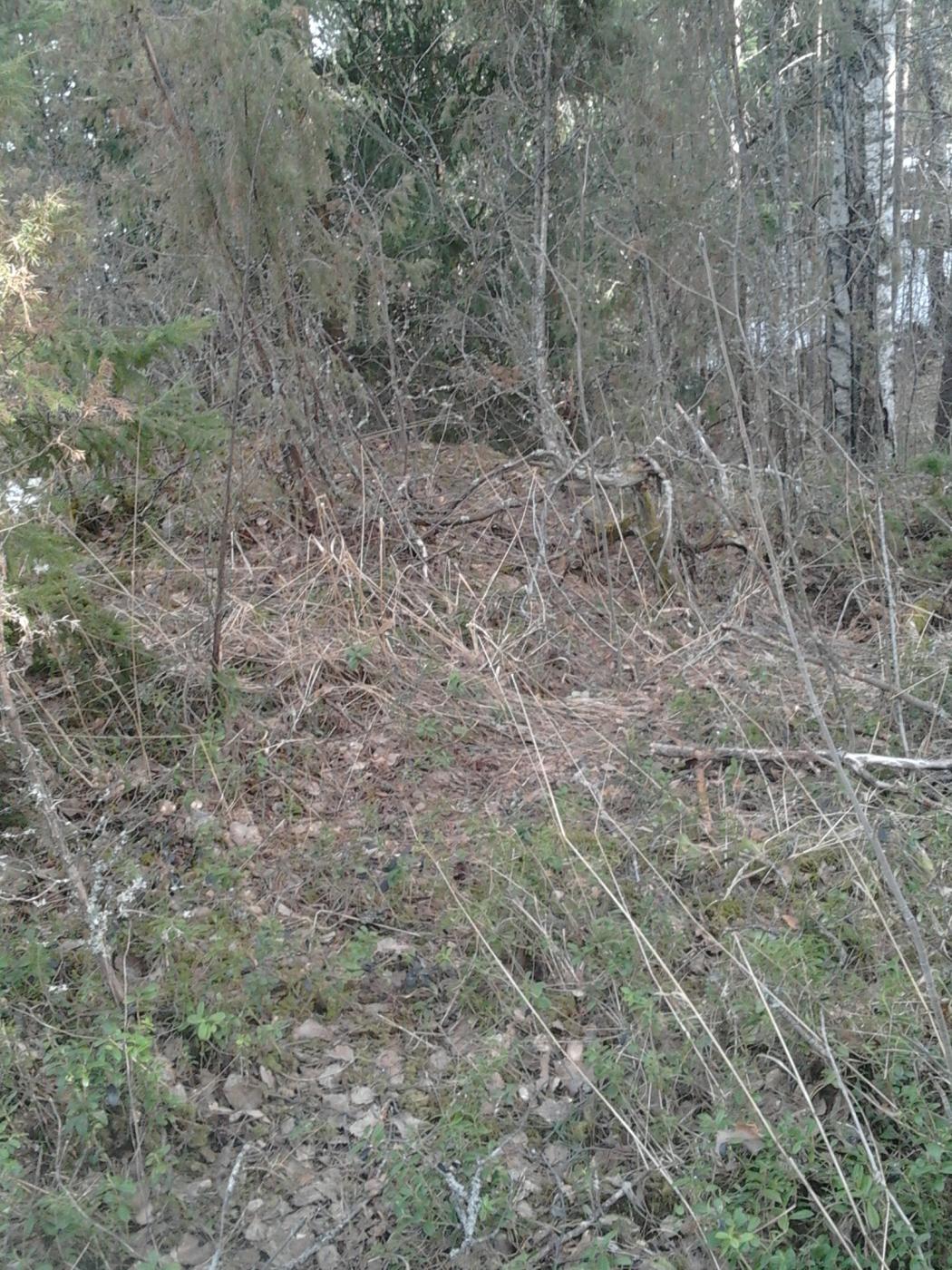 2013-04-20_15.29.46.jpg