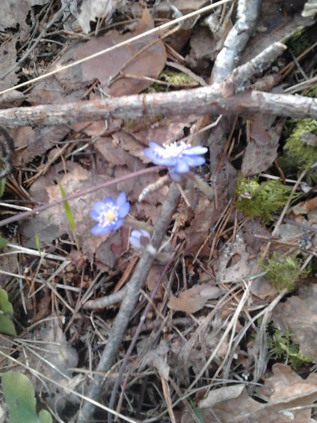 2013-04-20_15.30.05.jpg
