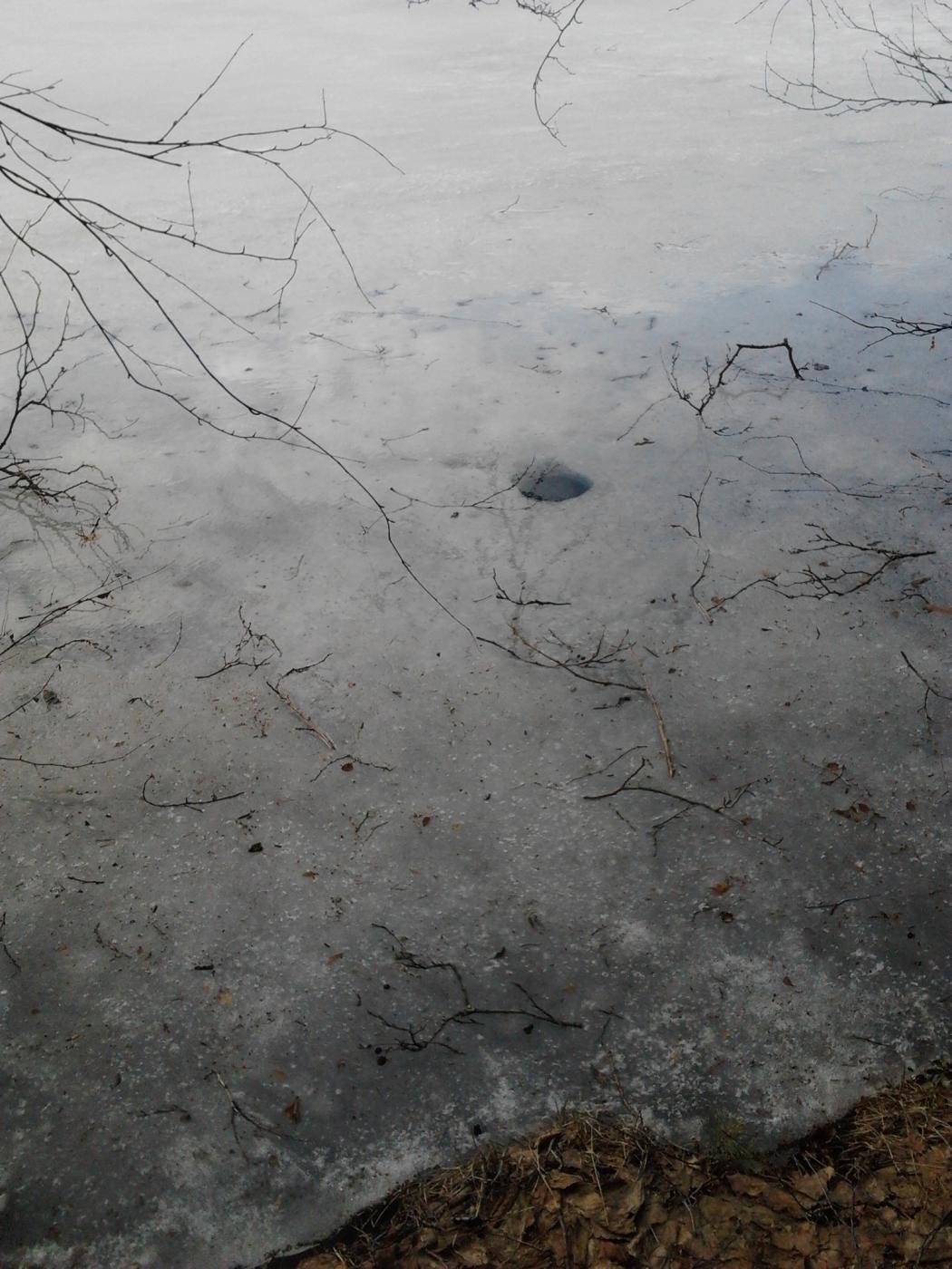 2013-04-20_15.47.17.jpg