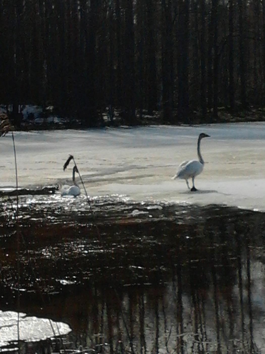 2013-04-20_15.55.45.jpg
