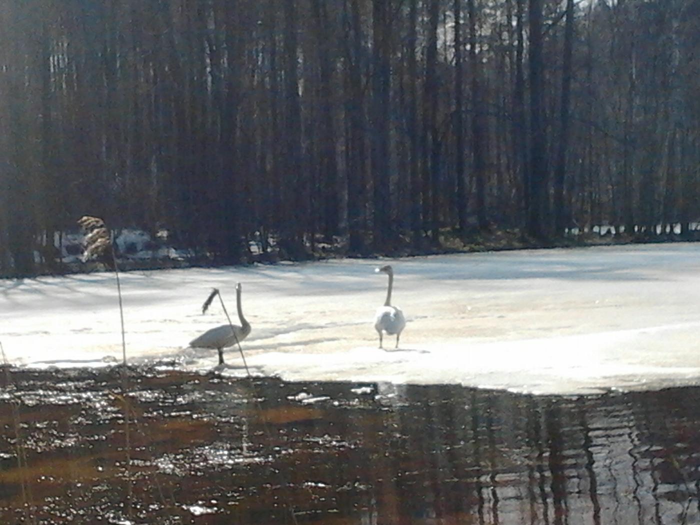2013-04-20_15.55.57.jpg