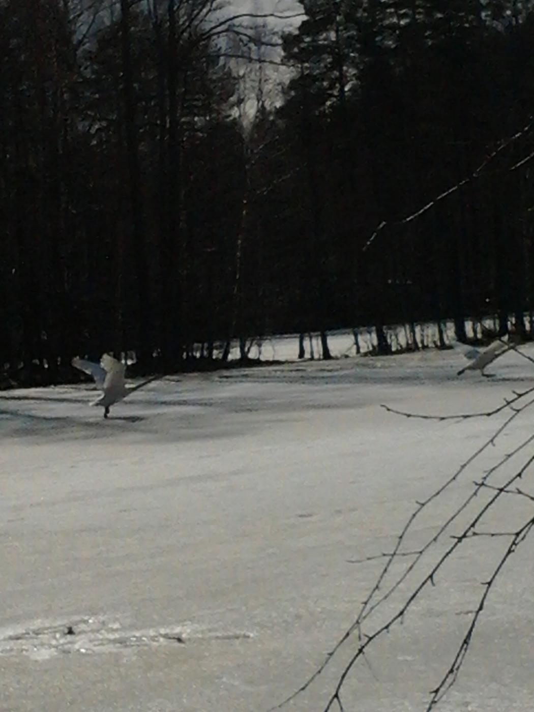 2013-04-20_15.57.02.jpg