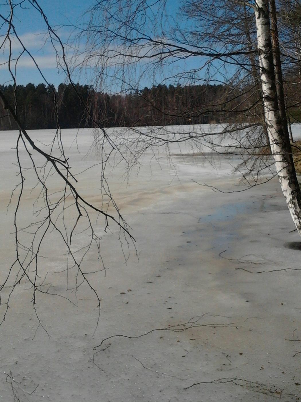 2013-04-20_15.58.24.jpg