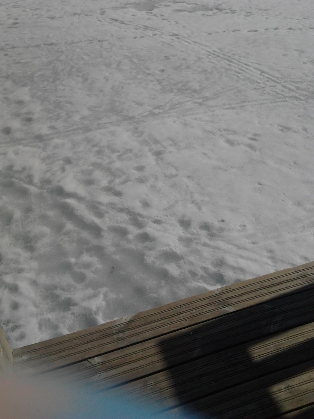 2013-04-20_16.04.07.jpg
